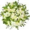 Flowery - Gėlių Puokštė "Pūkas"