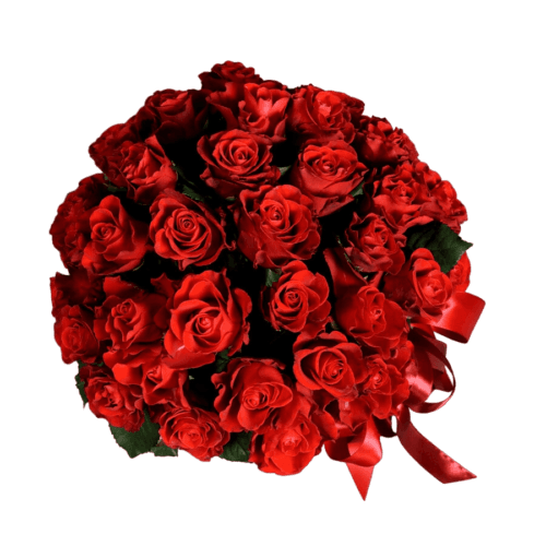 Flowery - VIP: Raudonų Rožių Dėžutė