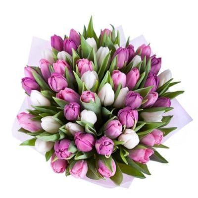 Valentino Pasiūlymas: Purpurinių ir Baltų Tulpių Puokštė